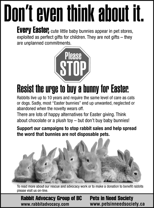 bunnies are not easter gifts